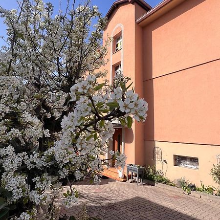 T3 + Veranda A Straßburg Exterior foto